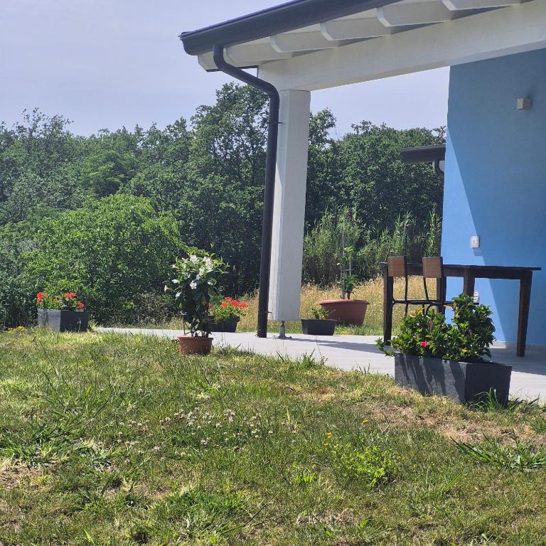 Zahrada ubytování Rdm affittacamere