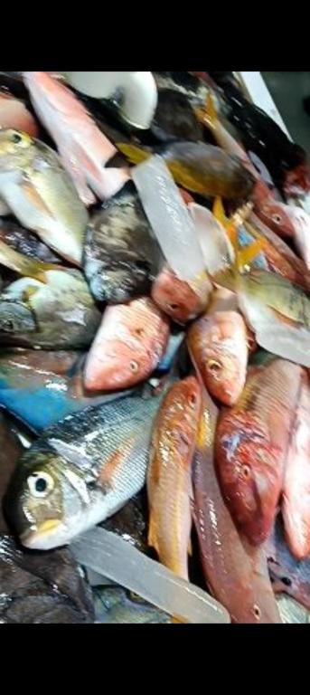 Jídlo v penzionu nebo okolí