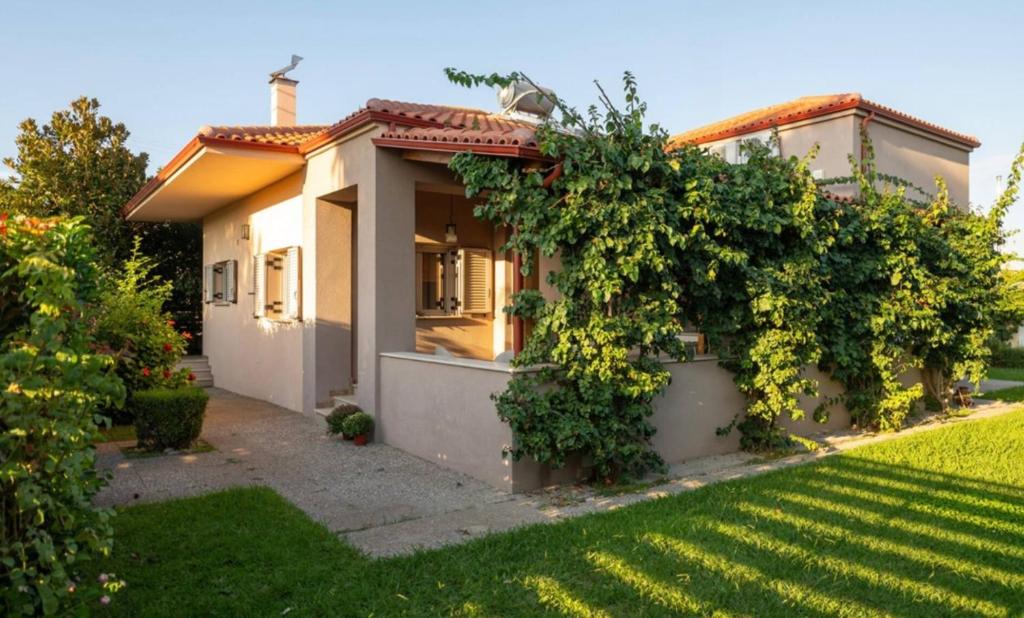 Κήπος έξω από το Villa Avithos bay