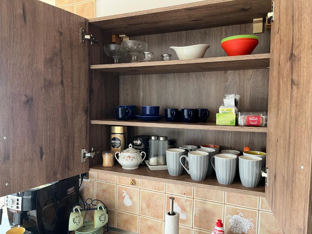Kuchyň nebo kuchyňský kout v ubytování Apartman QUATTRO