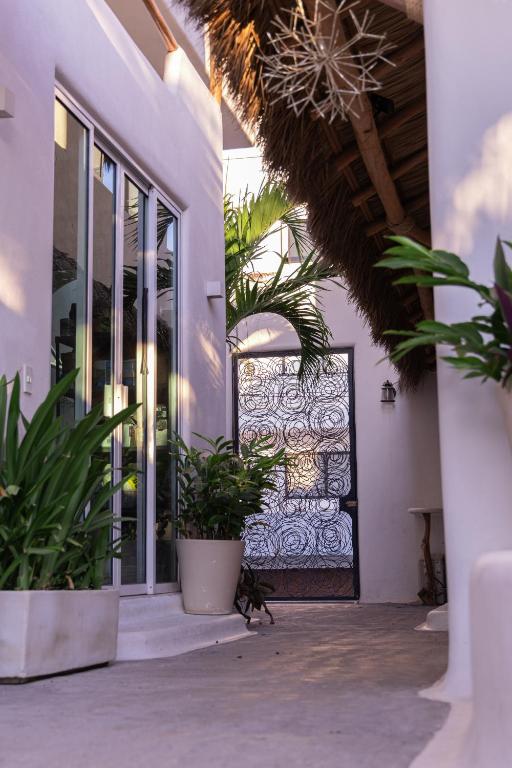 El Sho - Hotel orgánico photo