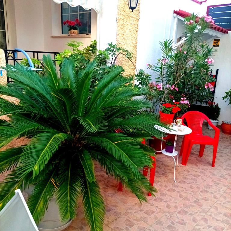 Zahrada ubytování Ιno Skiathos