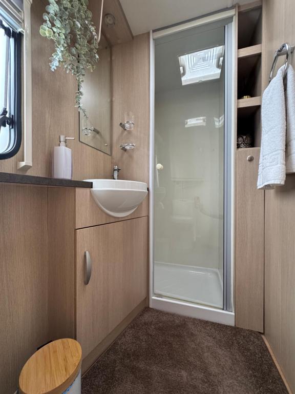 Koupelna v ubytování Apusenia Caravan Escape Padiș - Glăvoi