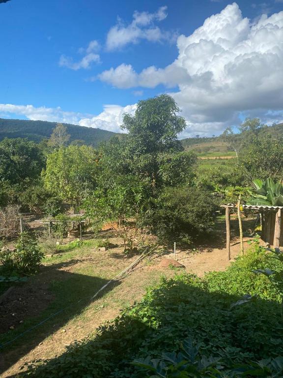 a view of a field with a tree at PENSÃO da DONA FATIMA in Conceição do Mato Dentro
