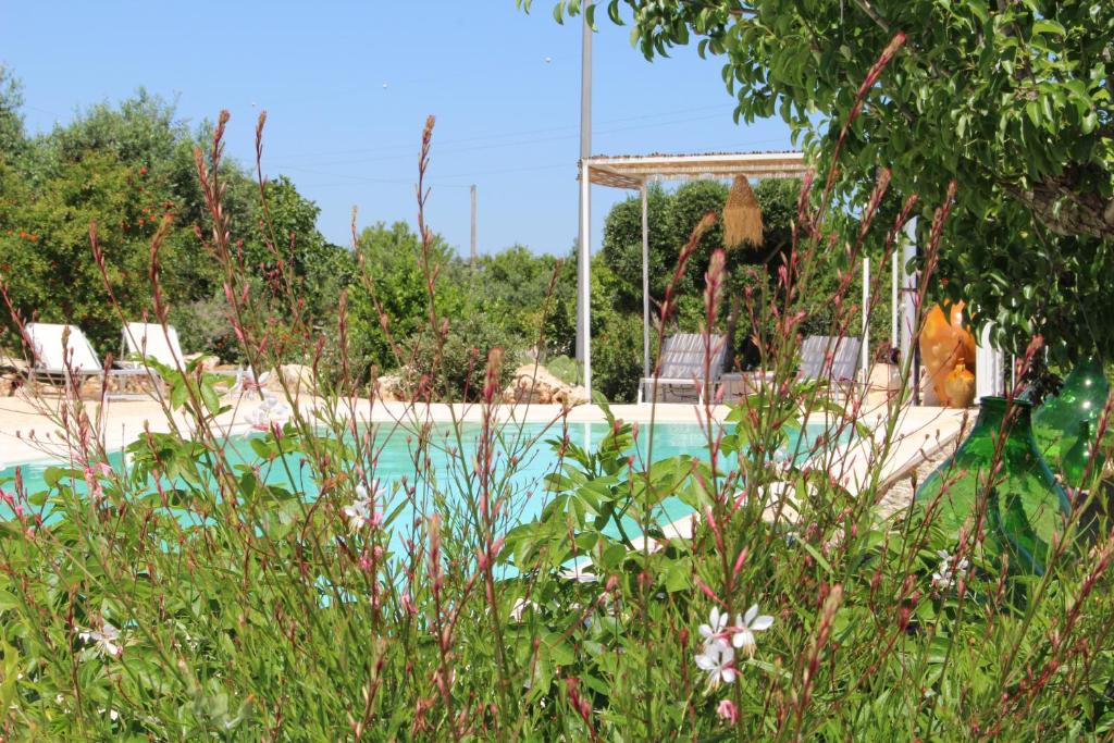Bazén v ubytování Trullo Il Melograno nebo v jeho okolí