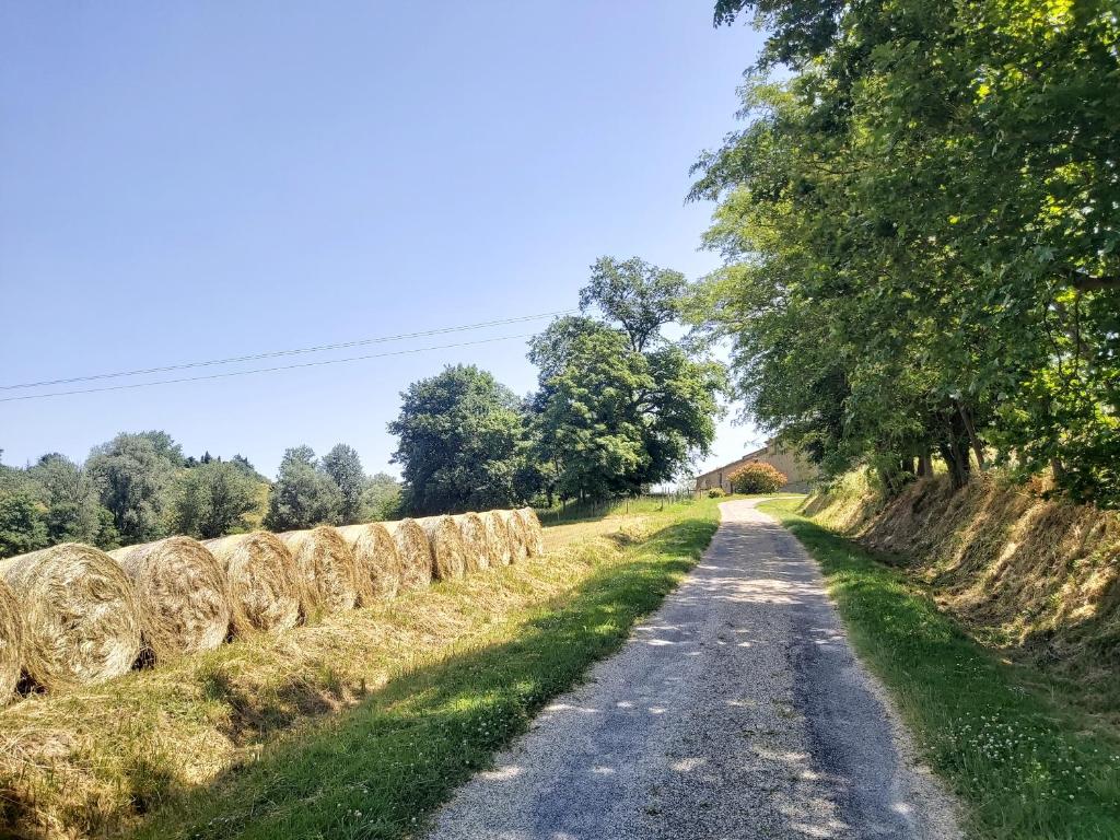 Příroda nedaleko penzionu