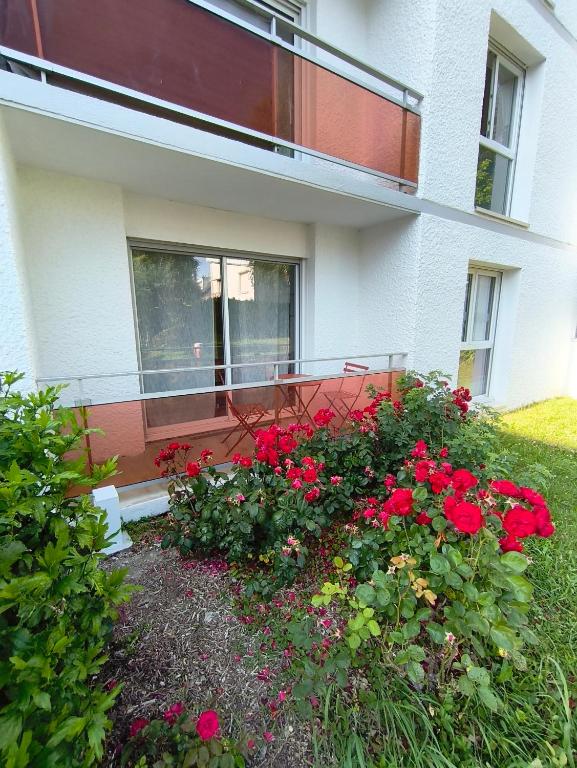 un jardin avec des fleurs rouges en face d'une maison dans l'établissement Appartement à 5 min du port, à Vannes