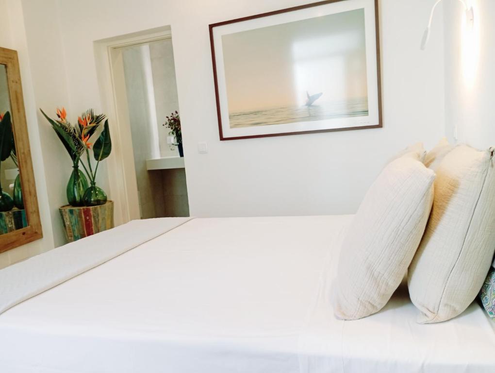 Santa Cruz - B&B - 8