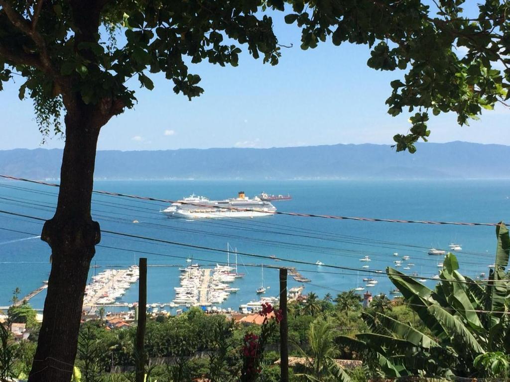 a cruise ship in the water with a tree at Aluga se Casa Chalé no MIRANTE DA VILA com VISTA INCRÍVEL in Ilhabela
