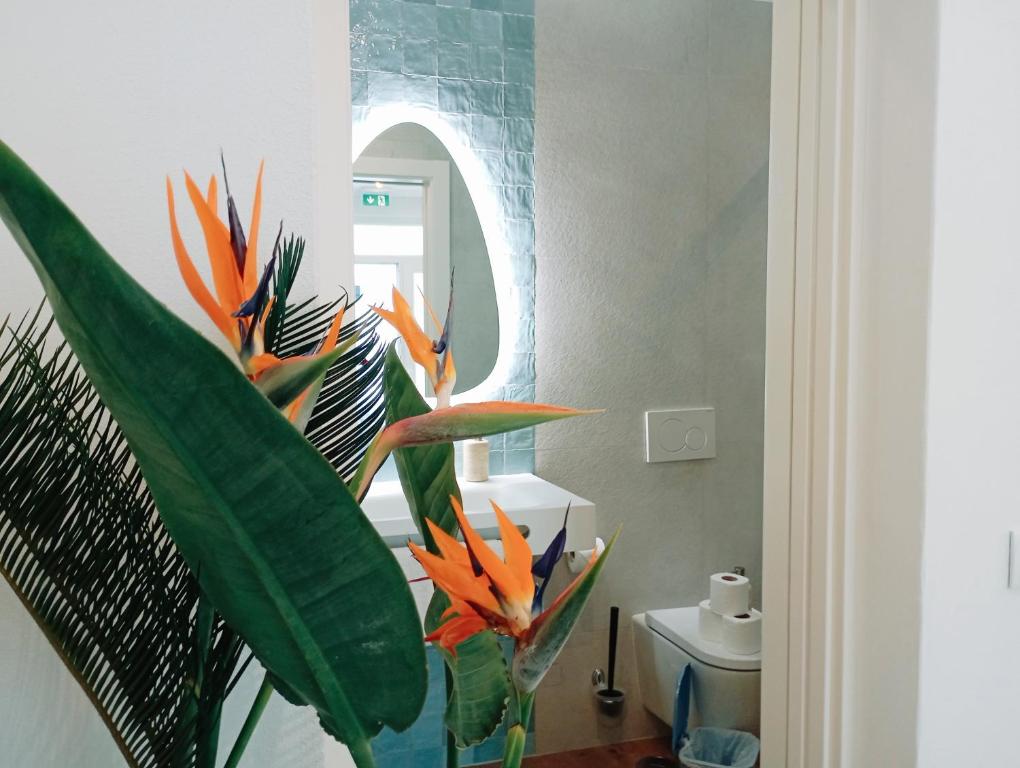 Santa Cruz - B&B - 14