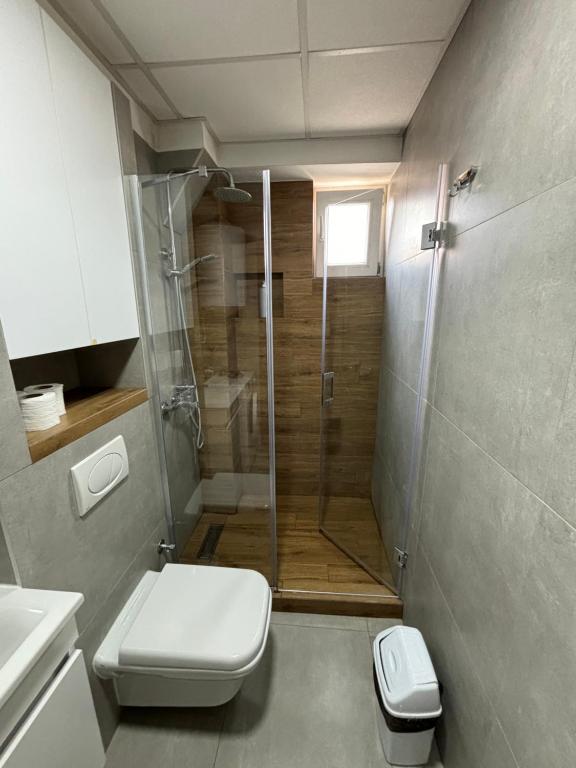 a bathroom with a shower and a toilet at Luxury Apartment Skopje 2 in Skopje