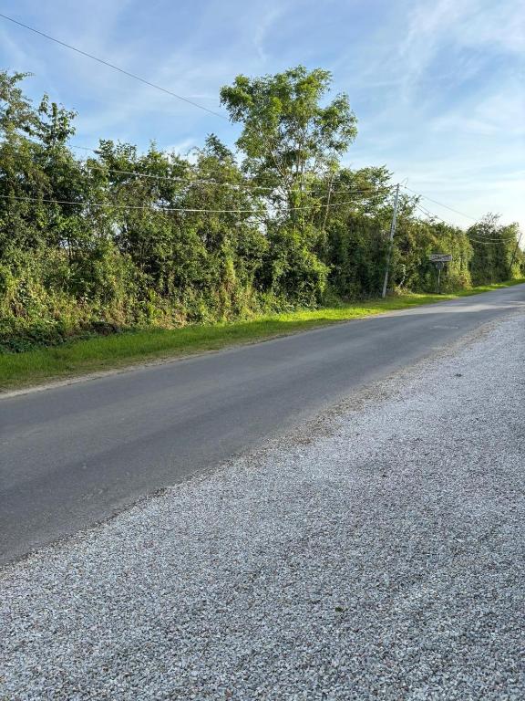 Príroda v okolí dovolenkového domu