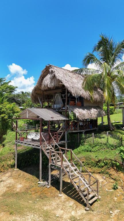 Zahrada ubytování Bayano Ecolodge