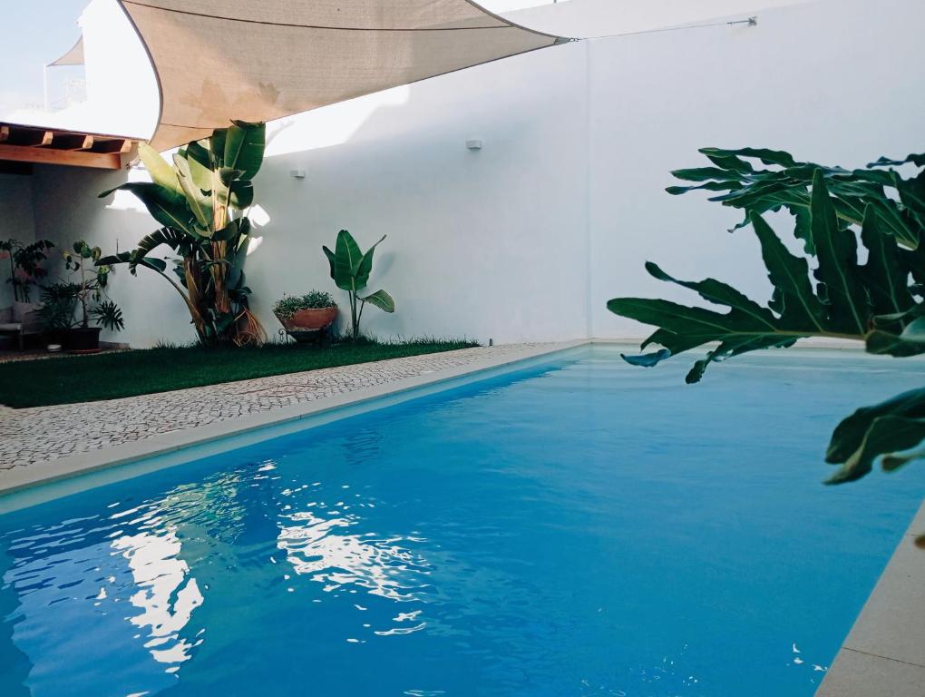 Santa Cruz - B&B - 17