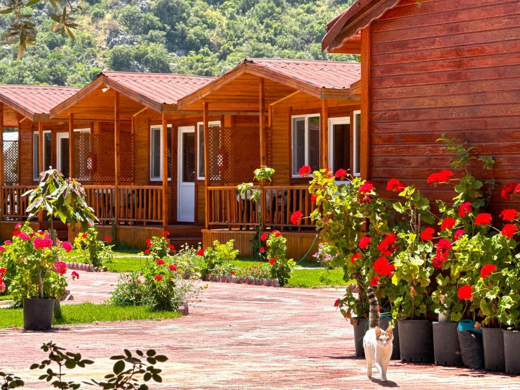 Zahrada ubytování Venüs Gold Bungalov Adrasan