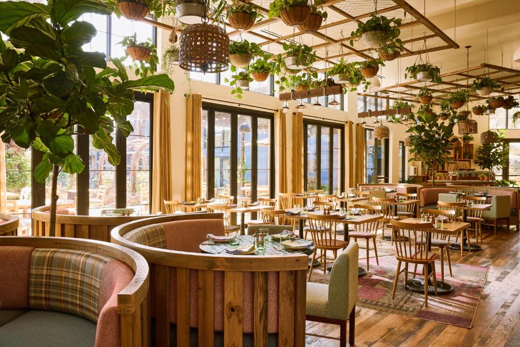 Posezení v ubytování Treehouse Hotel Silicon Valley