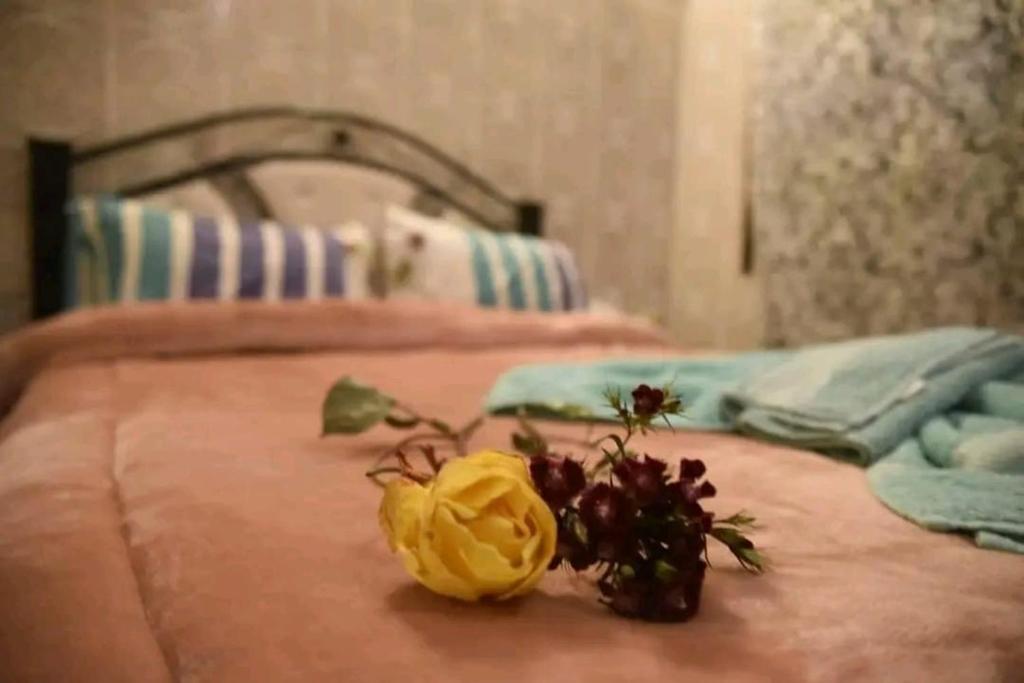 Postel nebo postele na pokoji v ubytování Red Vibes Hostel Marrakech