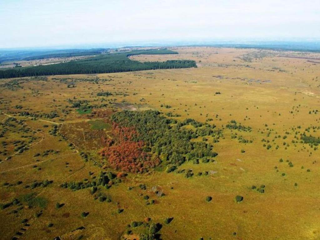 Příroda nedaleko prázdninového domu