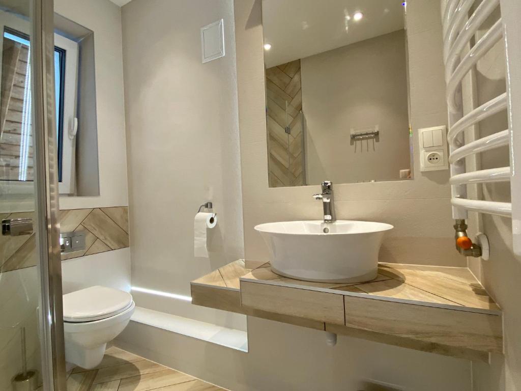 a bathroom with a sink and a toilet at Dom Stanisławy Papież in Biały Dunajec