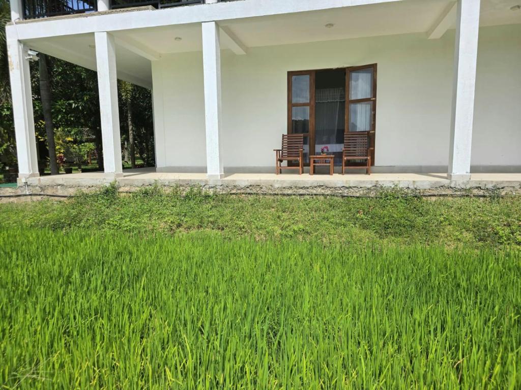 Zahrada ubytování Sigiriya Paradise Inn
