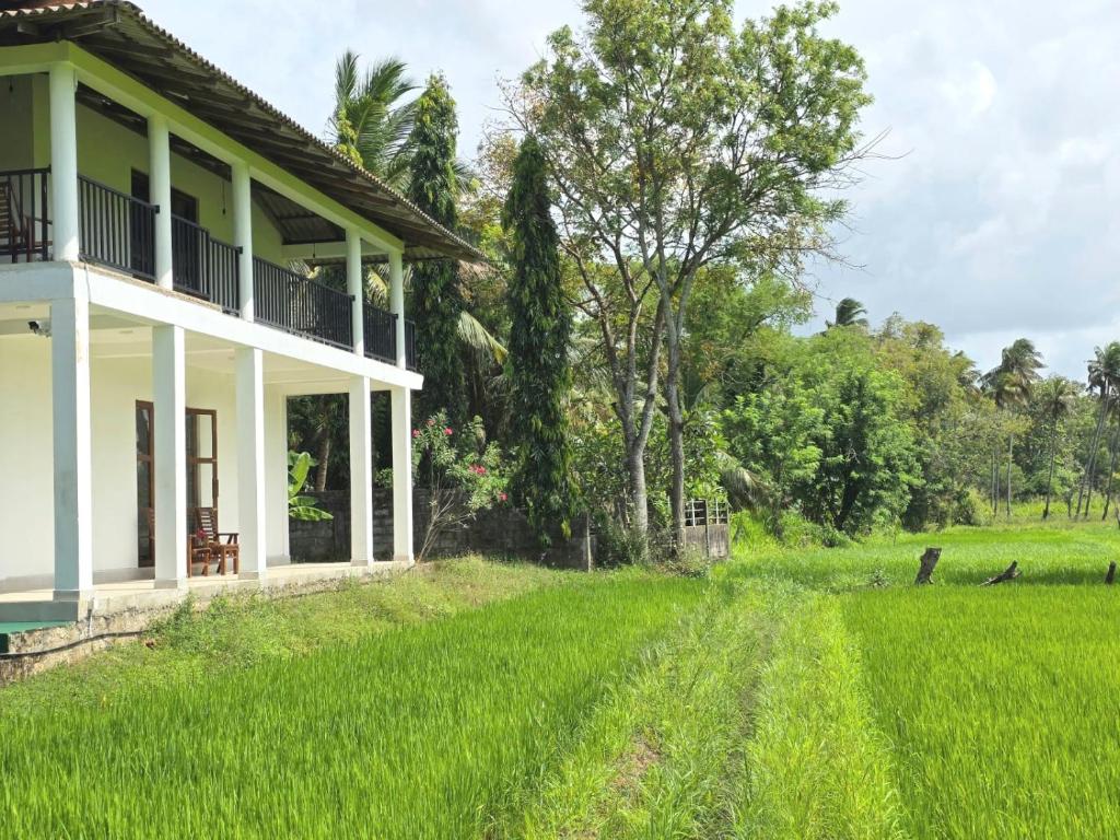 Zahrada ubytování Sigiriya Paradise Inn