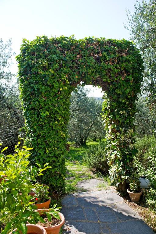 Zahrada ubytování Agriturismo Podere Zollaio