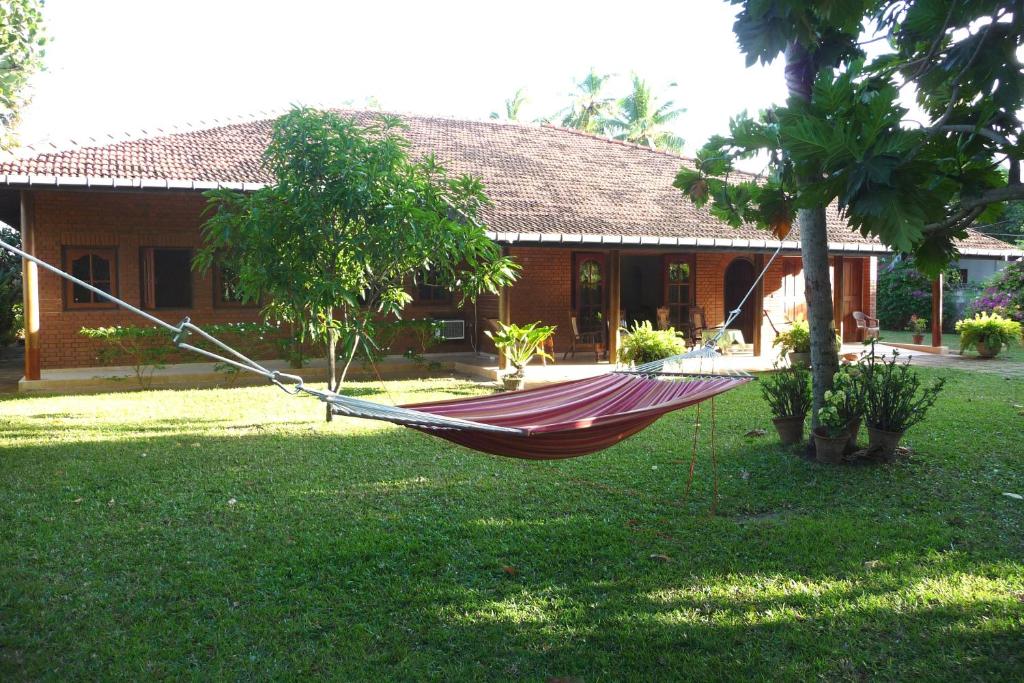 a hammock hanging from a tree in front of a house at Cinnamon Bungalow in Negombo