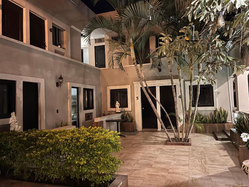 a courtyard with palm trees and plants in a building at Eco-Hotel Black Tree in Mazatlán