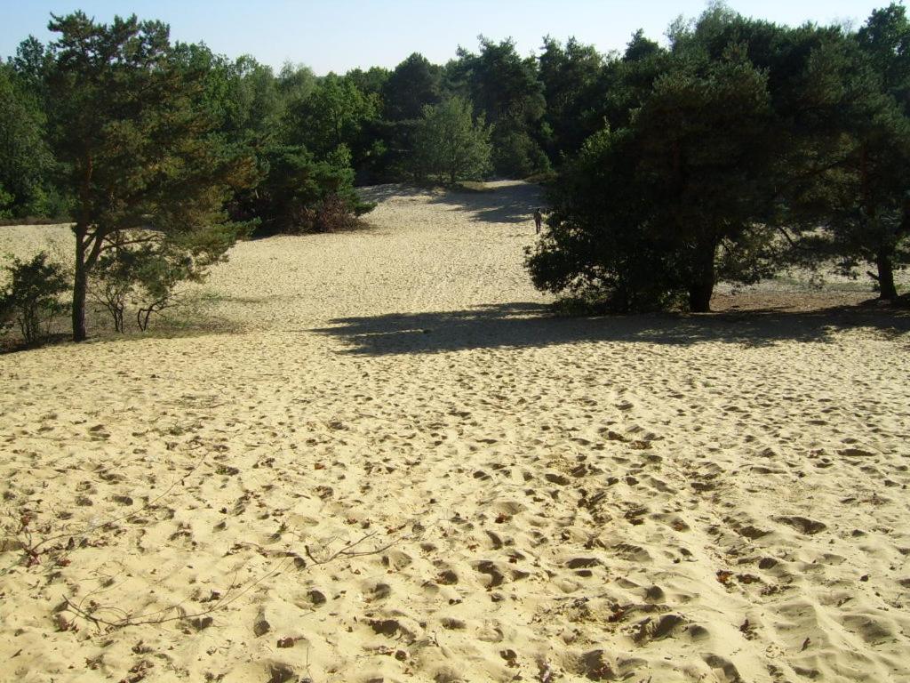 A beach at or near the holiday home