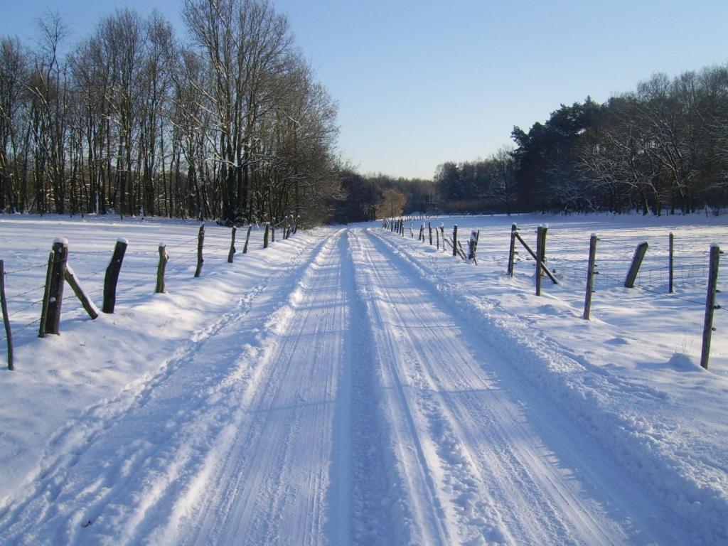 Bosbeekvallei during the winter