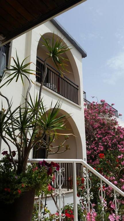 a building with plants and flowers in front of it at Myriama Apartments in Ayia Napa