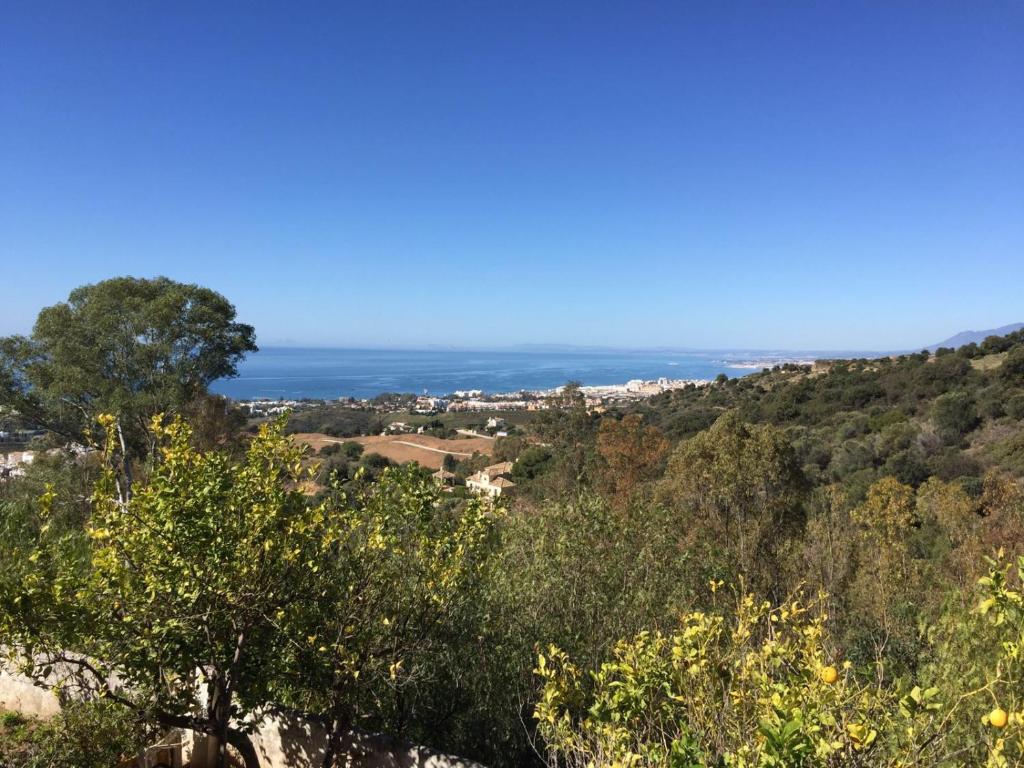una colina con árboles y vistas al océano en Casa Ranita, en Marbella