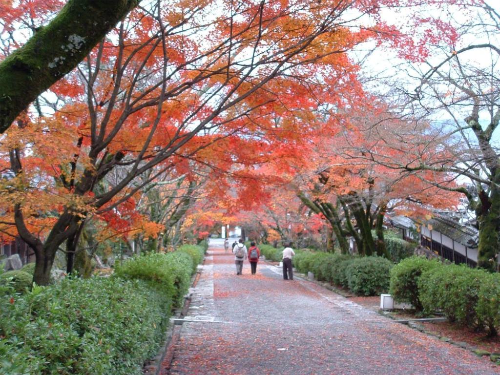 a group of people walking down a path with autumn trees at Lake Biwa Otsu Prince Hotel in Otsu