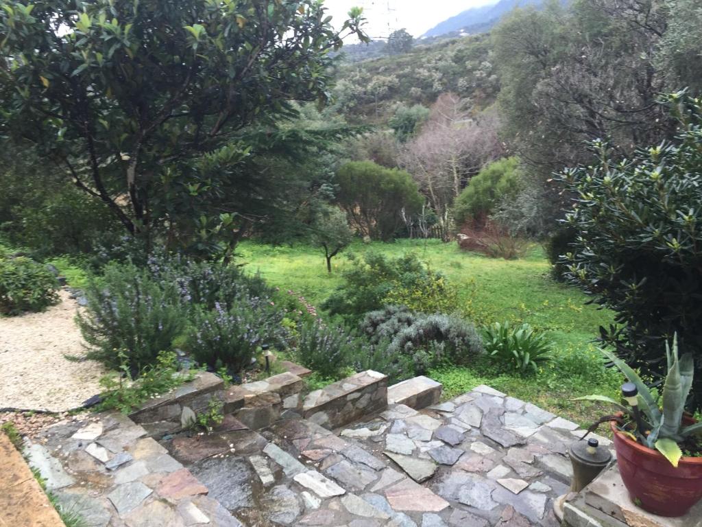 un jardin avec un chemin en pierre dans un champ dans l'établissement Agréable bas de villa, à Furiani