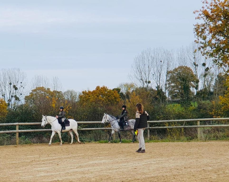 a group of people riding horses in a field at Le Refuge en bois nuit insolite en pleine Nature in Glanville