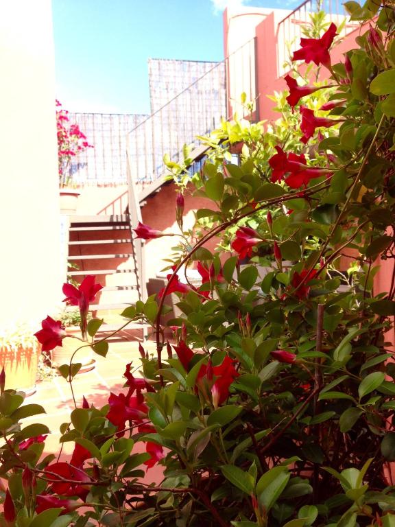 A garden outside Hotel Conde de Cárdenas