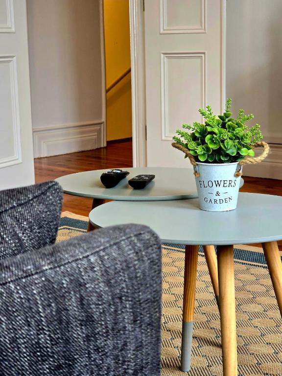 a table with a potted plant on it next to two chairs at Salted View Lodge in Nordeste