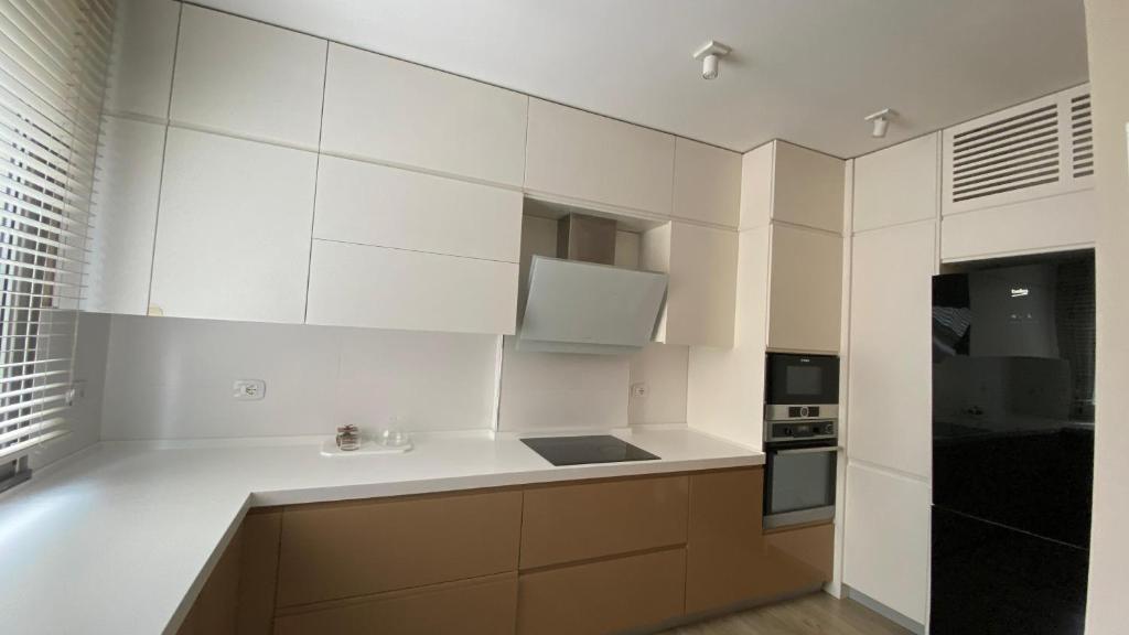 Kuchyň nebo kuchyňský kout v ubytování Lake Drive Rooms&Apartments