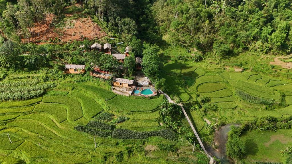 an aerial view of a farm in a field at Pu Luong Riverside Lodge in Hương Bá Thước