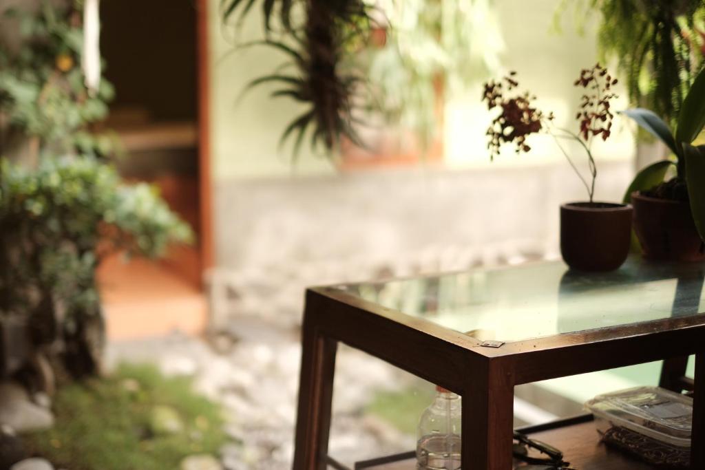 Um jardim no exterior de Abrakadabra Manshon
