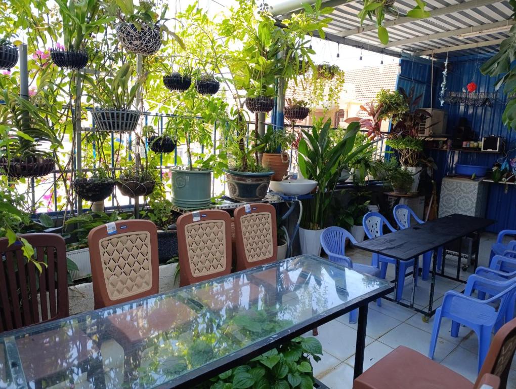 Zahrada ubytování NHÀ NGUYÊN CĂN VŨNG TÀU DUNGVINH'S HOME
