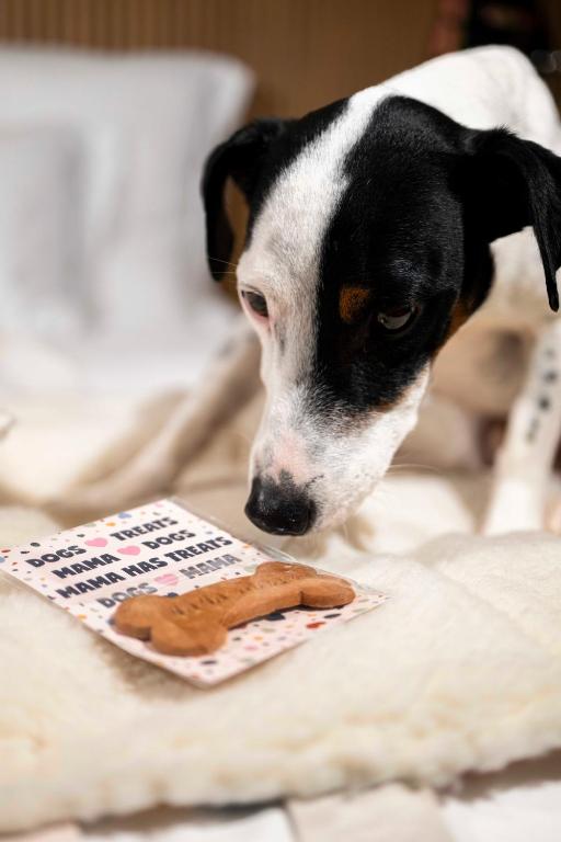 Mama Shelter Zurich - Resim 19