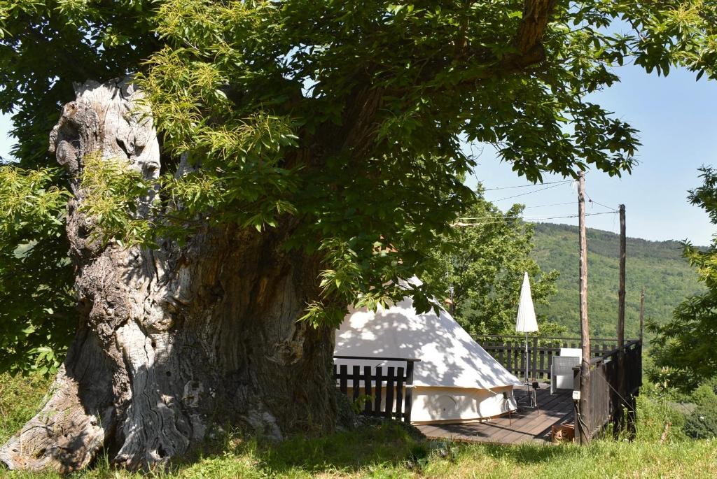 Příroda nedaleko luxury tent
