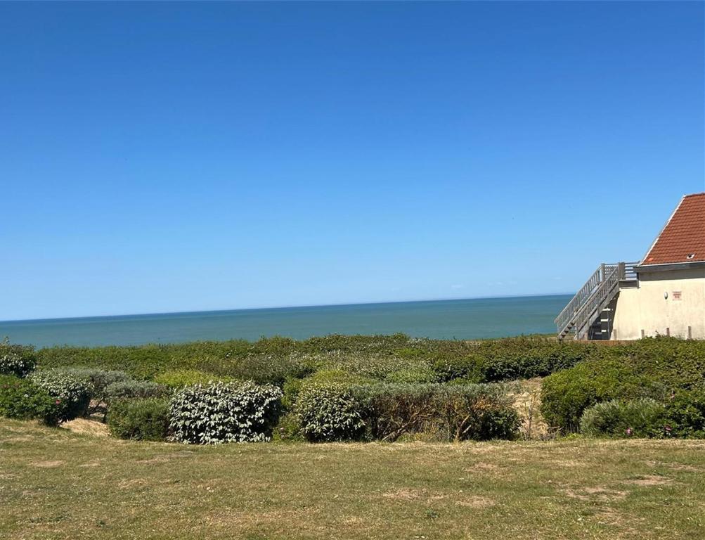 une rangée de buissons avec l’océan en arrière-plan dans l'établissement La Naturelle 227 Wimereux, à Wimereux