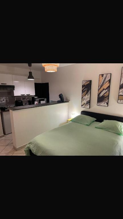 Cet appartement comprend une chambre avec un lit vert et une cuisine. dans l'établissement Cozy studio in Neuilly-sur-Marne, à Neuilly-sur-Marne