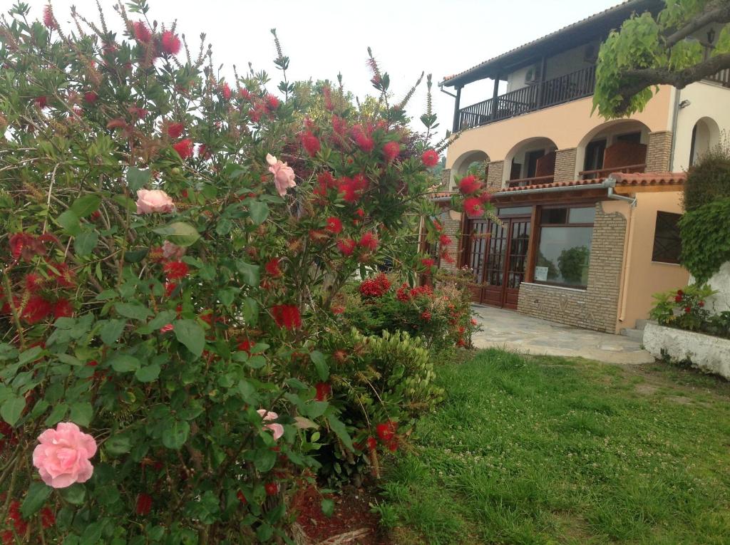 A garden outside Opalio pilio