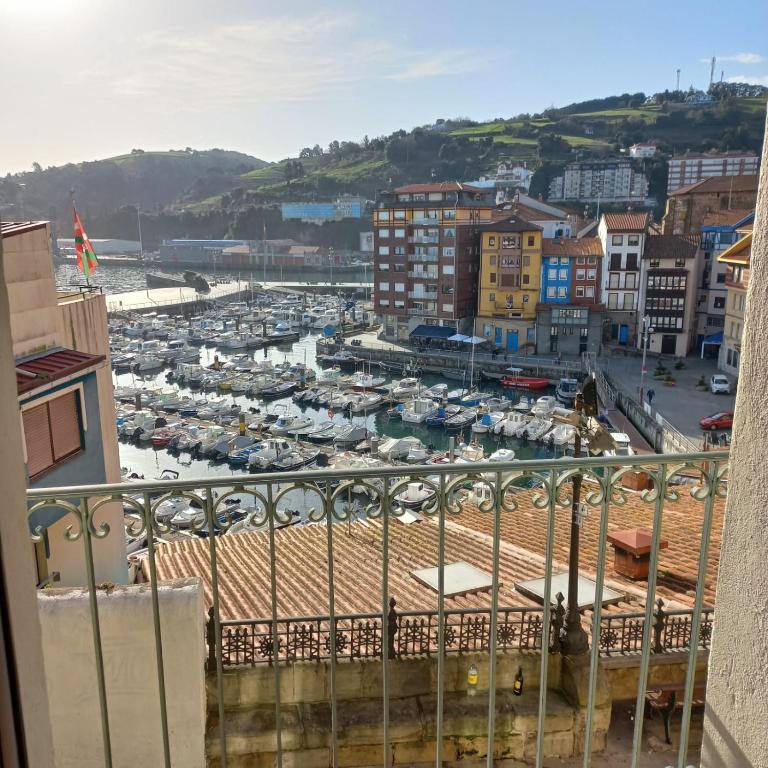 a view of a harbor from a balcony at Apartamento Kuttun Bermeo in Bermeo
