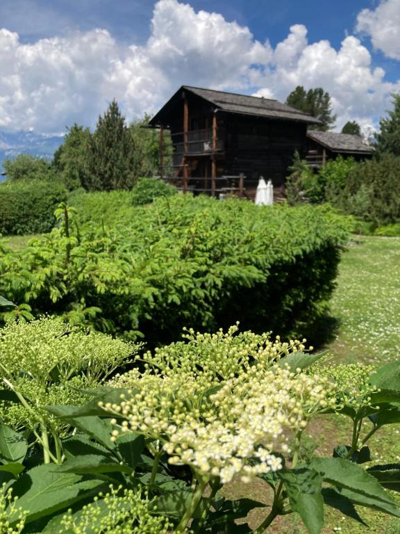 Zahrada ubytování Le Hameau des Biquettes