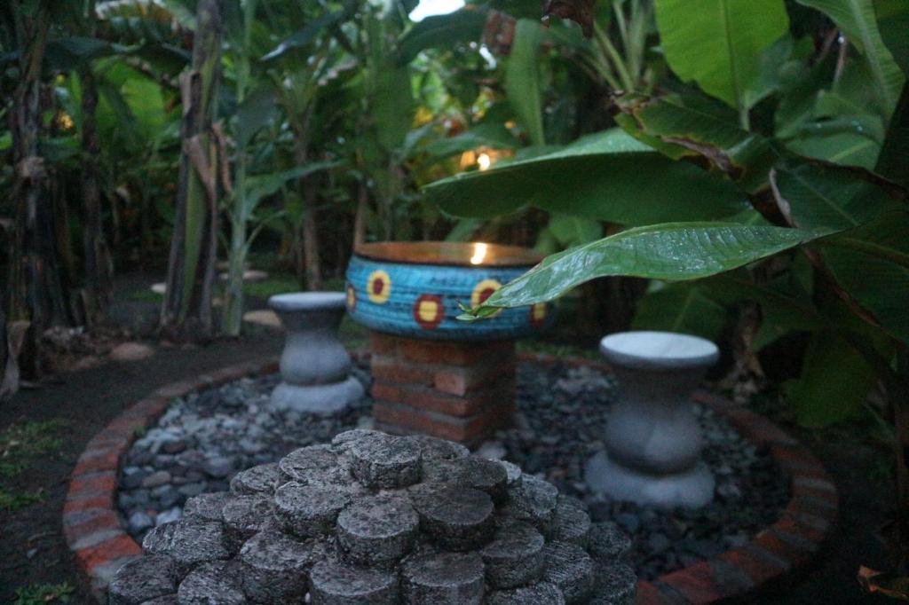 Zahrada ubytování Yuda Menjangan Homestay