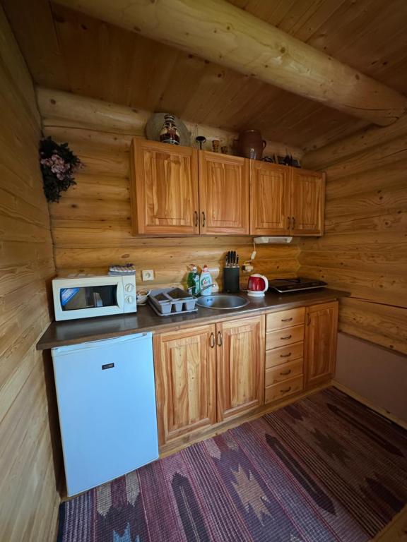 Kuchyňa alebo kuchynka v ubytovaní Drevenica Silvia